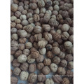 Chinese walnut in shell price